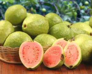 Guava fruit 