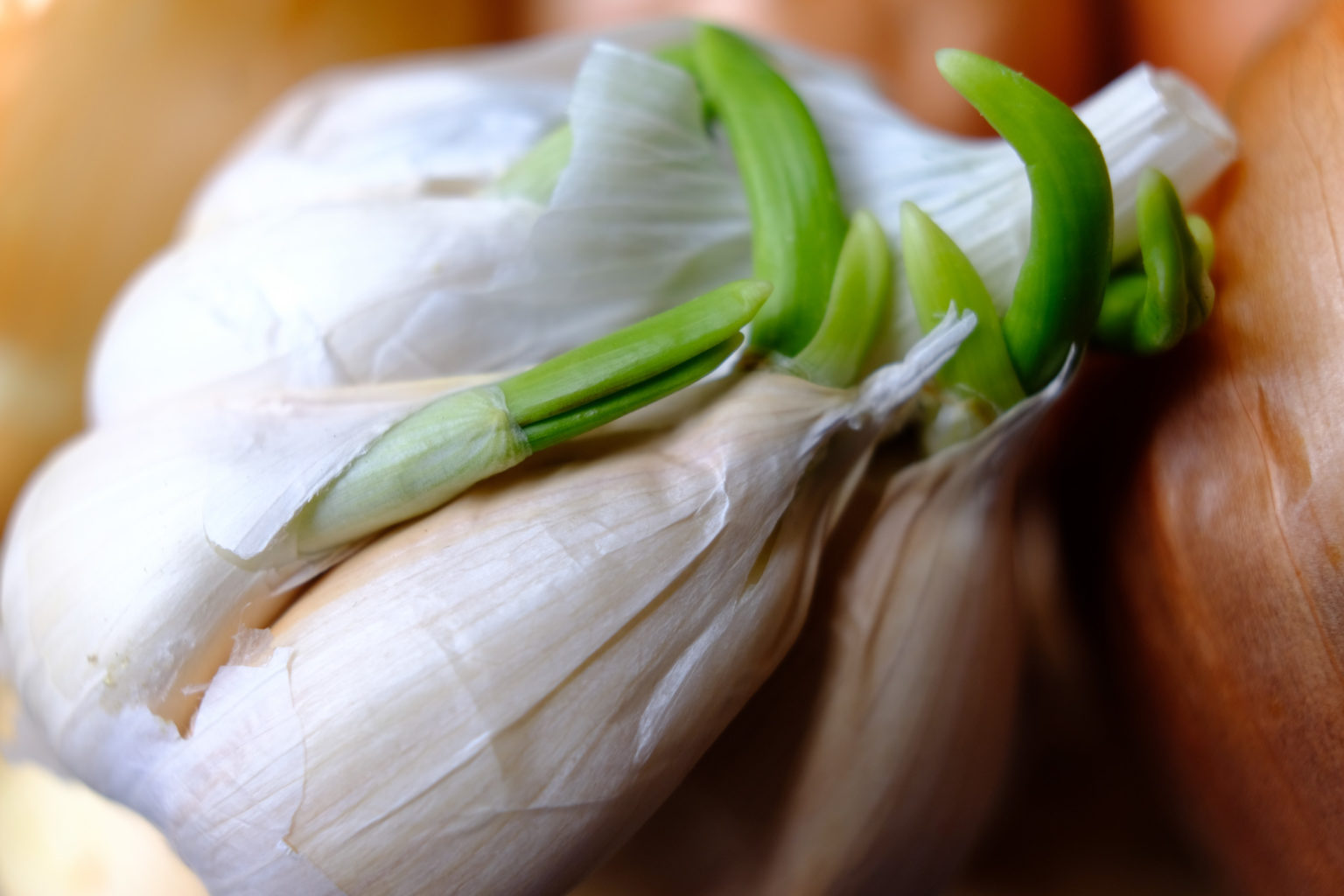 Why Does Garlic Turn Blue? The American Cuban Table