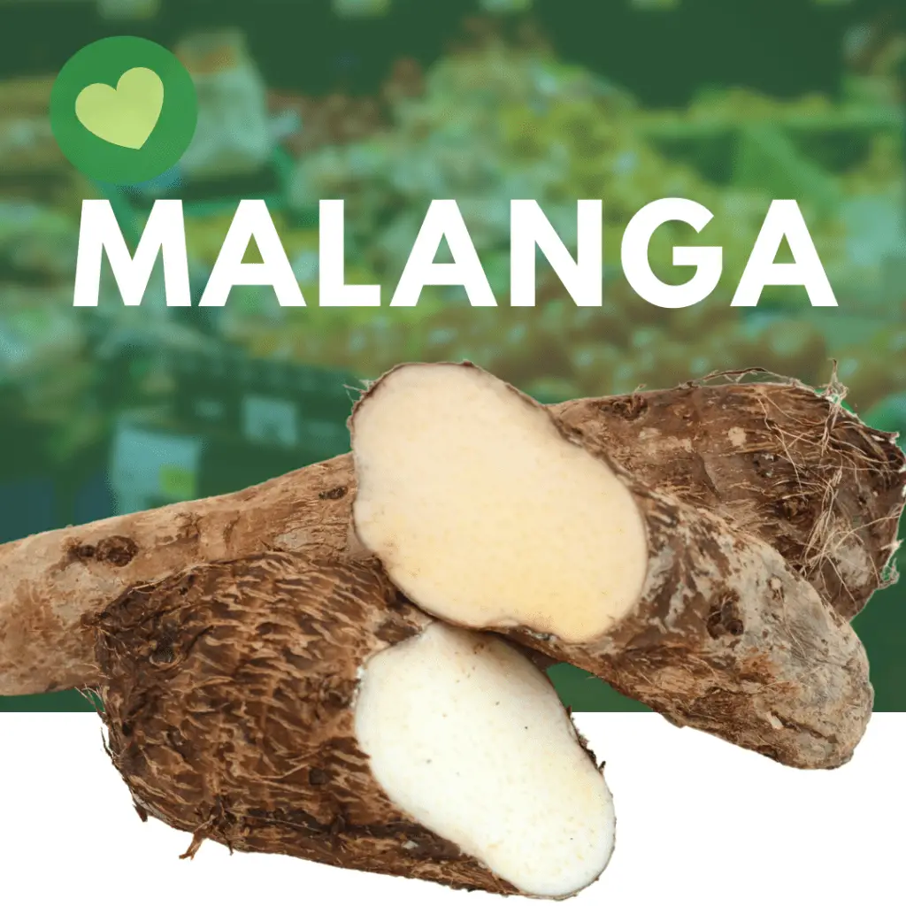 Discover the unique flavor of malanga.
