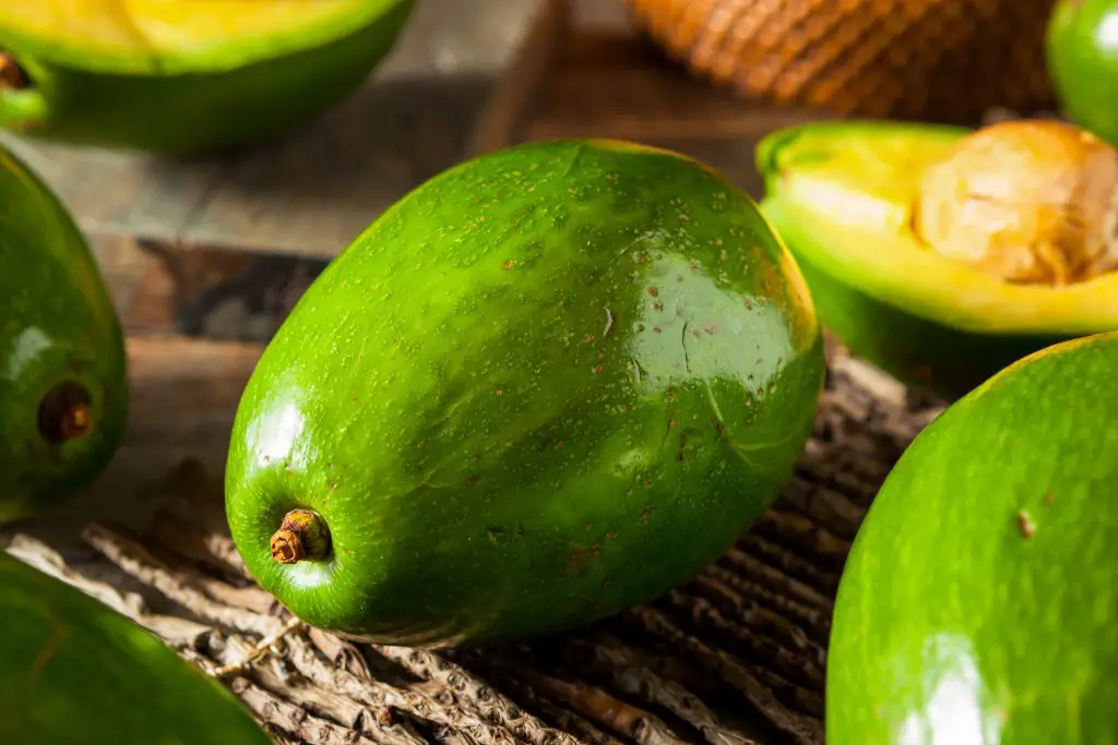 A beautiful whole Florida Cuban avocado. The half of the avocado shows the bright yellow flesh. 