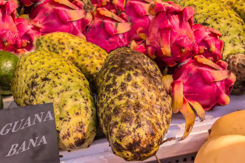 Guanabana for sale at a farmers market.