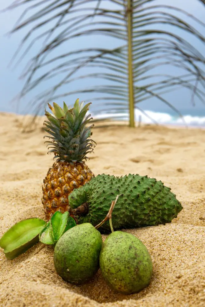 Tropical fruits in the sand.