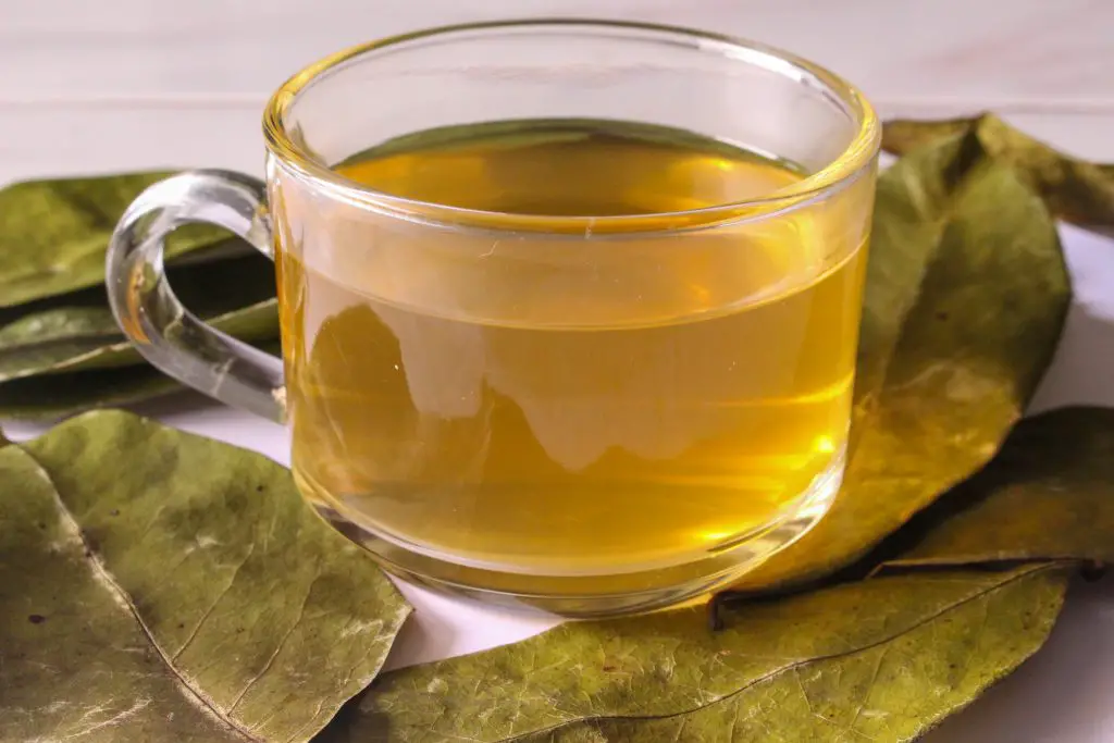 A cup of guanabana tea made from the leaves.